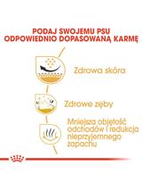 ROYAL CANIN Shih Tzu Adult 7,5kg karma sucha dla psów dorosłych rasy shih tzu / Opakowanie uszkodzone (4329,4310,4312) !!!