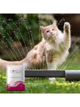 VET PROTECTOR® GASTRO – ELEKTRO – preparat stabilizujący równowagę wodno-elektrolitową w postaci proszku dla psa i kota 3 g
