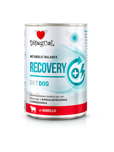 Disugual Karma mokra dla psa Weterynaryjna RECOVERY Jagnięcina (dorosły) 6x400g