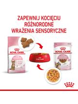 ROYAL CANIN Kitten Sterilised 12x85g karma mokra w galaretce dla kociąt do 12 miesiąca życia, sterylizowanych