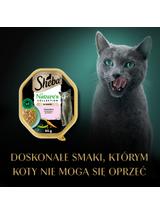 SHEBA Nature’s Collection tacka 85 g – mokra karma pełnoporcjowa dla dorosłych kotów, kawałki z łososiem przybranym groszkiem, w sosie