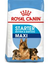 ROYAL CANIN Maxi Starter Mother&Babydog 15kg + niespodzianka dla psa GRATIS!