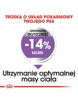 ROYAL CANIN CCN Mini Sterilised 3kg karma sucha dla psów dorosłych, ras małych, sterylizowanych /Opakowanie uszkodzone (7786,7782) !!!