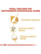 ROYAL CANIN Labrador Retriever Sterilised Adult 12kg + niespodzianka dla psa GRATIS!