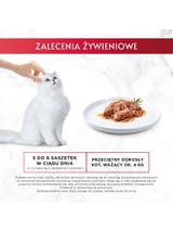 GOURMET mon Petit Pokarm dla kotów - MIX Rybny 48x50g