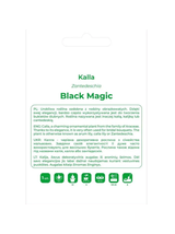 Kalla Black Magic żółta 1szt.
