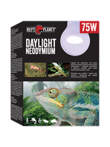RP Żarówka  Daylight Neodymium 75W