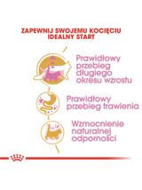 ROYAL CANIN Maine Coon Kitten 10kg karma sucha dla kociąt, do 15 miesiąca, rasy maine coon