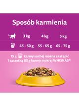 WHISKAS Adult 3x1,4 kg - sucha karma dla dorosłego kota, z pysznym kurczakiem