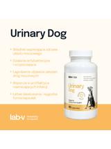 Lab-v Urinary Dog – Wsparcie przy zakażeniu dróg moczowych u psów 90 kapsułek