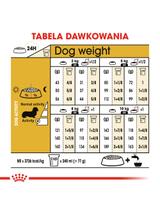 ROYAL CANIN Dachshund karma sucha dla psów dorosłych rasy jamnik  500g