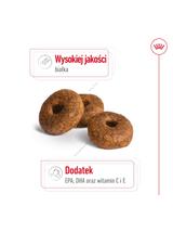 ROYAL CANIN Medium Ageing 10+ 15kg karma sucha dla psów dojrzałych po 10 roku życia, ras średnich + niespodzianka dla psa GRATIS!