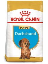 ROYAL CANIN Dachshund Puppy 1,5kg karma sucha dla szczeniąt do 10 miesiąca, rasy jamnik