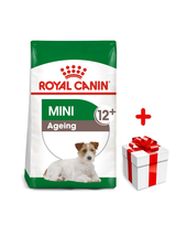 ROYAL CANIN Mini Ageing 12+ 1,5kg karma sucha dla psów dojrzałych po 12 roku życia, ras małych + niespodzianka dla psa GRATIS