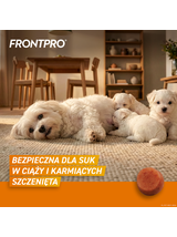 Frontpro tabletki na pchły i kleszcze S 11,3mg 2-4kg x 3tabl