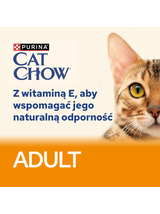 PURINA Cat Chow Adult Karma dla kotów z jagnięciną i zieloną fasolką w galaretce 10x85g