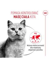 ROYAL CANIN®   Light Weight Care Airlift, 85g