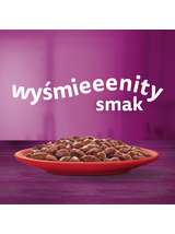 WHISKAS Adult saszetki 160x85g Klasyczne Posiłki - mokra karma dla dorosłego kota, w sosie (kawałki z: wołowiną, kurczakiem, jagnięciną, drobiem)