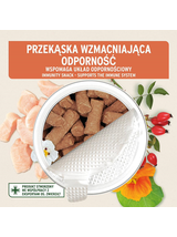 AniForte Przysmak na odporność - przysmak dla psa 50g