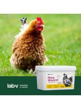 Lab-v Pióra Mineral Vit – wsparcie upierzenia i kondycji skóry drobiu grzebiącego 2000 g