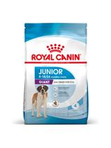 ROYAL CANIN Giant Junior 15kg karma sucha dla szczeniąt  od 8 do 18/24 miesiąca życia, ras olbrzymich
