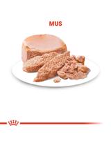 ROYAL CANIN Starter Mousse Mother & Babydog 6x195g karma mokra - mus, dla suk w czasie ciąży, laktacji oraz szczeniąt