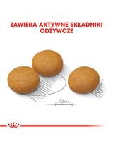 ROYAL CANIN CCN Maxi Dermacomfort 11,7kg karma sucha dla psów dorosłych, ras dużych, o wrażliwej skórze, skłonnej do podrażnień /Opakowanie uszkodzone (6102) !!!