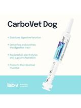 Lab-v CarboVet Dog - Preparat do eliminacji toksyn dla psów 10 ml