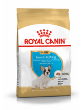 ROYAL CANIN French Bulldog Puppy 10kg karma sucha dla szczeniąt do 12 miesiąca, rasy bulldog francuski + niespodzianka dla psa GRATIS!