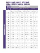 ROYAL CANIN Adult Dog 12x100g