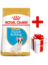 ROYAL CANIN French Bulldog Puppy 10kg karma sucha dla szczeniąt do 12 miesiąca, rasy bulldog francuski + niespodzianka dla psa GRATIS!