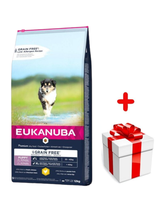 EUKANUBA Puppy Chicken L/XL Grain Free 12kg + niespodzianka dla psa GRATIS!