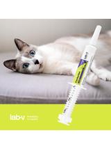 Lab-v CarboVet Cat - Preparat o właściwościach odtruwających dla kotów 10 ml
