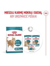 ROYAL CANIN Ageing Sterilised 11+ 4kg karma sucha dla kotów dojrzałych po 11 roku życia, sterylizowanych