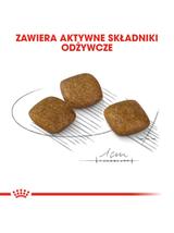 ROYAL CANIN CCN Mini Relax Care 8kg + niespodzianka dla psa GRATIS!