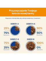 PURINA Cat Chow Adult Karma dla kotów z kurczakiem i cukinią w galaretce 10x85g (7+3 GRATIS)