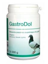 Dolfos GastroDol 2x300g