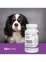 Lab-v Hepato Protect – Wspomaganie funkcji wątroby dla psów i kotów 45 kapsułek