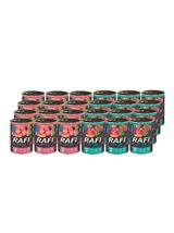 DOLINA NOTECI Rafi junior mix smaków 24x400g
