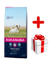 Eukanuba adult small breed chicken 15kg + niespodzianka dla psa GRATIS!