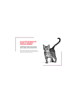 ROYAL CANIN Sensory Feel/Taste/Smell 85g