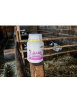 Kerbl-Kolba Środek owadobójczy na muchy- 500 ml