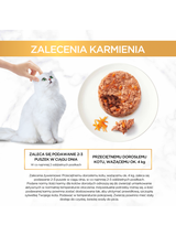 Purina Gourmet Gold Karma dla kotów Savoury Cake 48 x 85 g