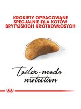 ROYAL CANIN British Shorthair Kitten 2kg karma sucha dla kociąt, do 12 miesiąca, rasy brytyjski krótkowłosy