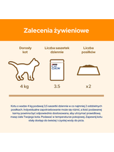 PURINA Cat Chow Adult Karma dla kotów z jagnięciną i zieloną fasolką w galaretce 10x85g