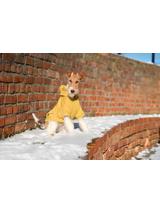 AMIPLAY- Bluza z kapturem Texas 30 cm Yorkshire Terrier-żółta