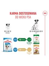 ROYAL CANIN Mini Puppy 800g karma sucha dla szczeniąt, od 2 do 10 miesiąca życia, ras małych