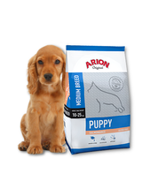 ARION Original Puppy Medium Breed Salmon & Rice 12kg + niespodzianka dla psa GRATIS!