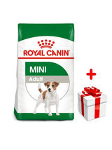 ROYAL CANIN Mini Adult 800g karma sucha dla psów dorosłych, ras małych + niespodzianka dla psa GRATIS