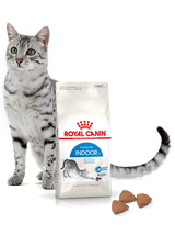 ROYAL CANIN  Indoor 27 10kg karma sucha dla kotów dorosłych, przebywających wyłącznie w domu + niespodzianka dla kota GRATIS!